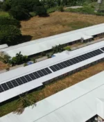 Solar Power in Poultry Farming: A Game Changer for Farm Owners