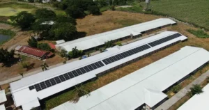 Solar Power in Poultry Farming: A Game Changer for Farm Owners