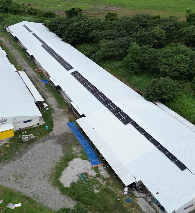 Calayaan Poultry Farm