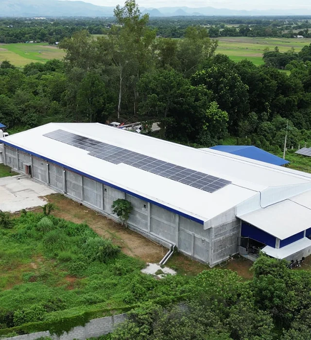 Hatchery