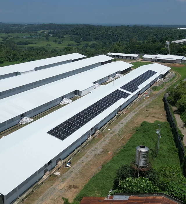 Hi-Peak Poultry Farm