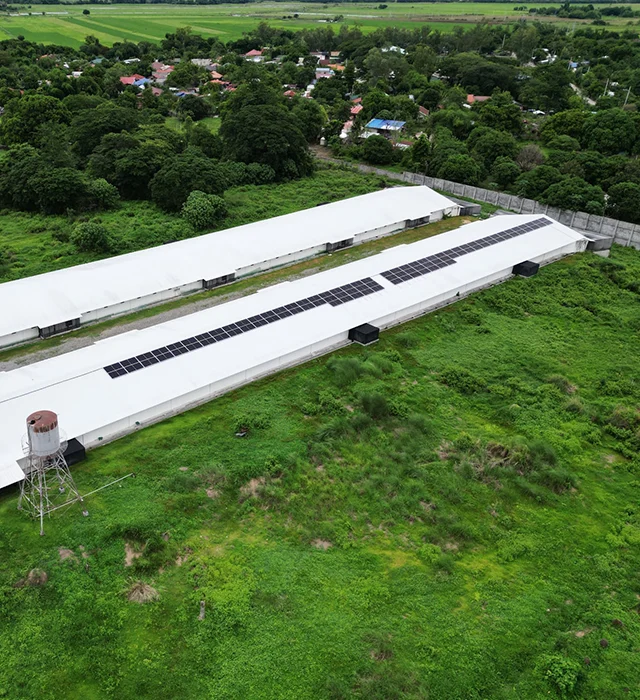 Laoang Poultry Farm