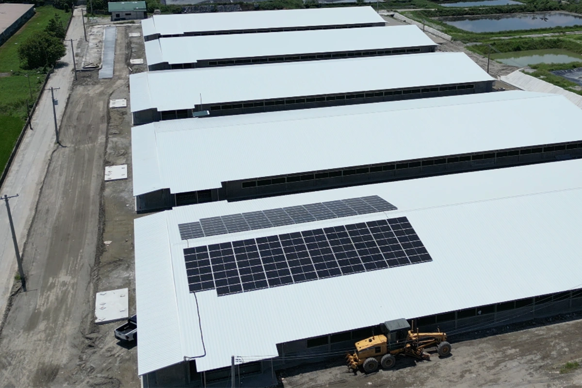 Why Every Renewable Energy Solution Systems Setup Needs Net Metering 3 Rivera Agro Industrial