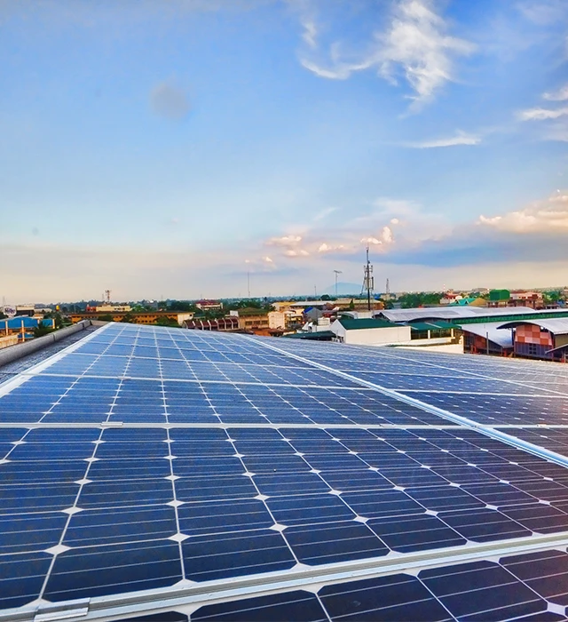 BHF Appliances, F. Tañedo