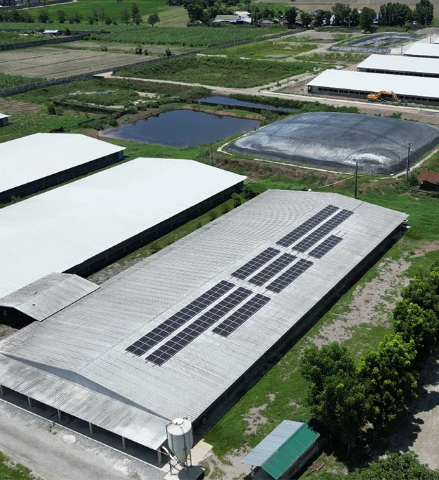 Rivera Agro Industrial phase 2