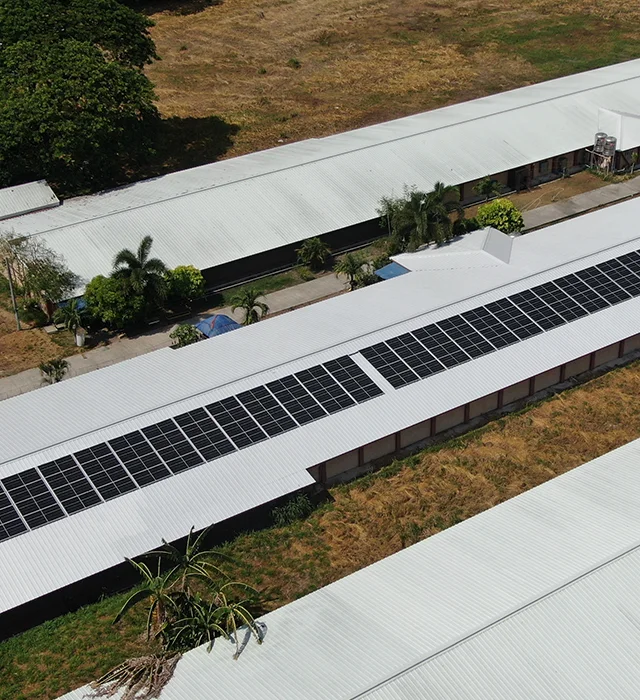 Tarlac Mac Chicken Farm