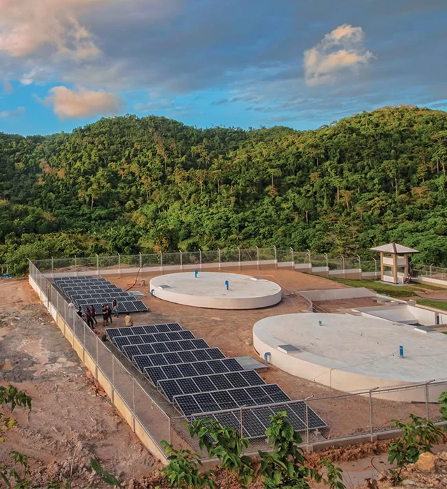 Taytay, Freshwater Plant