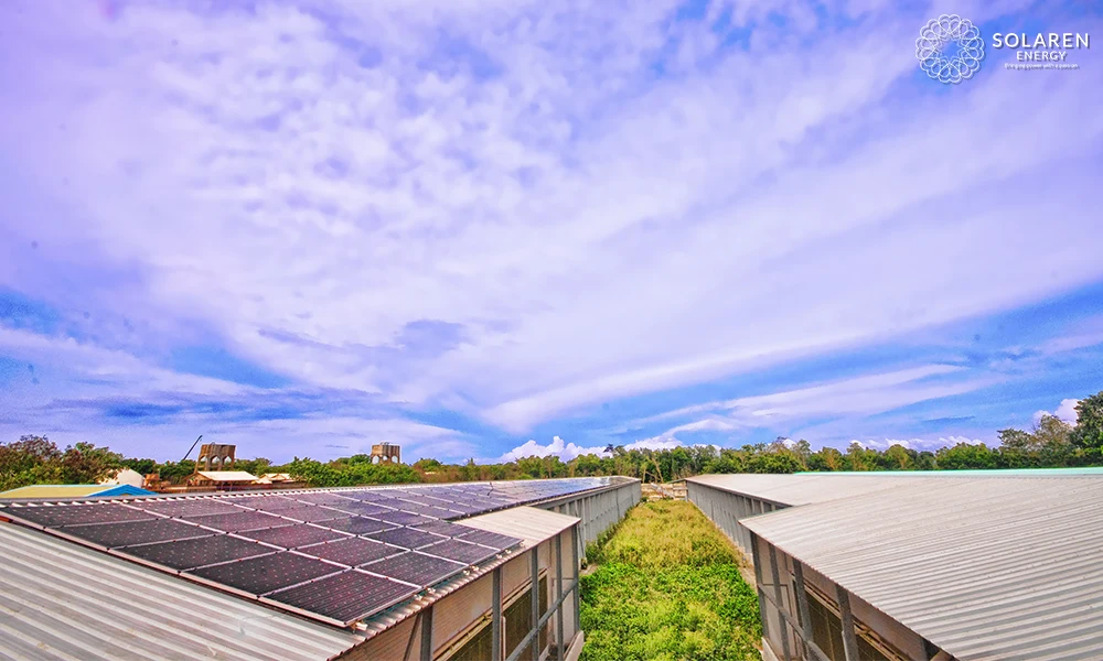 customized energy solutions