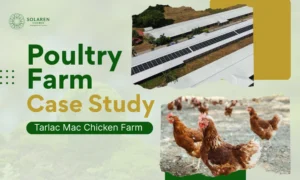 Poultry Farm Solar Case Study