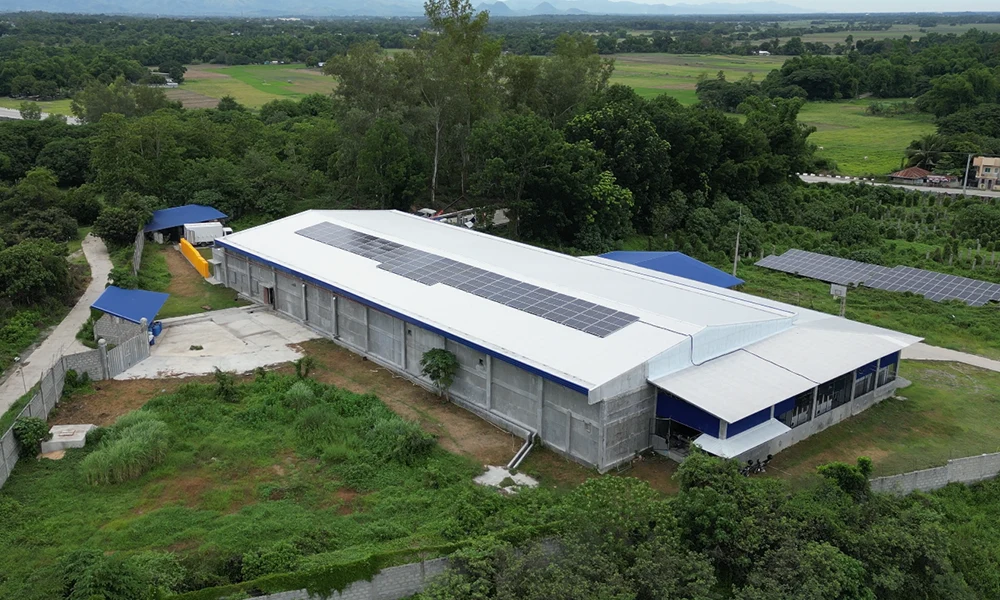 Solar Energy Save Money: How Much Do Solar Panels Reduce Electricity Bills? 2 solar energy save money