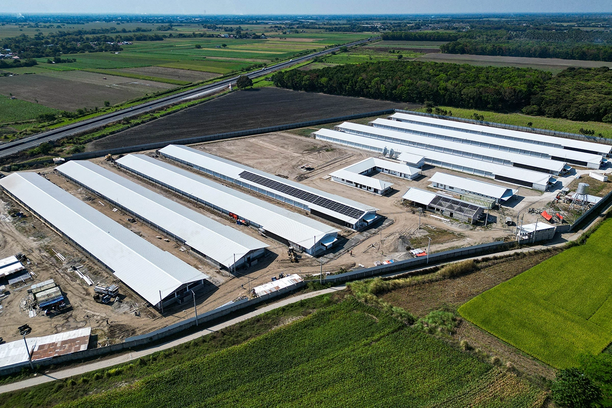 How Quality Solar Engineering Impacts Long-Term ROI for Philippine Businesses 4 Carbonel Farm