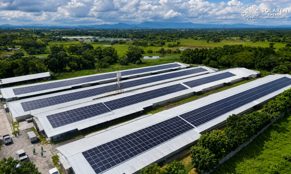 What to Look for in a Solar EPC Philippines Partner in 2026 2 Solar EPC Philippines
